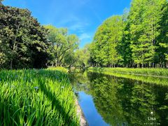 -上海共青森林公园