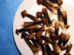 -千岛蚝高压锅生蚝·人参火锅(白云万达店)