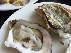 -青岛蓝海大饭店·渔歌舫(李沧店)