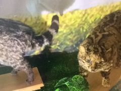 -下渚湖国家湿地公园科普馆