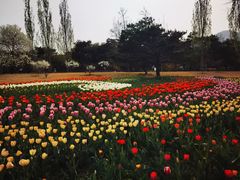 -国家植物园南园