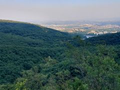 -葛记焖饼(伏牛路店)