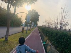 -菊园百果园