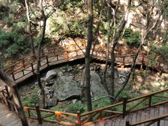 -大岭沟猕猴桃谷风景区
