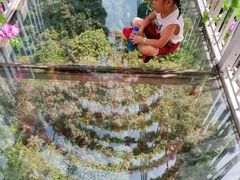 -牛鱼嘴原始生态风景区