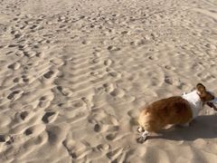 -那香海钻石沙滩浴场