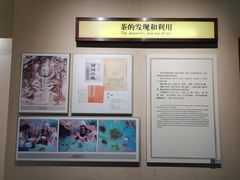 -中国茶叶博物馆(双峰馆区)