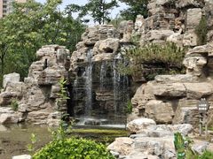 -莲花池公园