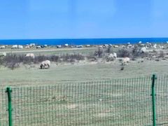 -青海湖二郎剑景区