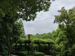 -白马涧龙池景区