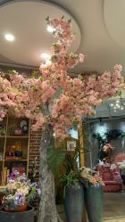 -拾光年华摄影馆(菱角湖公园店)