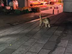 -沈妈砂锅(光华村店)