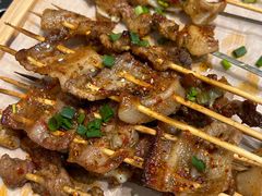 -山野的朋友露营炭火烤肉