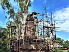 -奥兰多迪士尼动物王国乐园