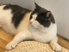 -颐玖 咖啡|甜品