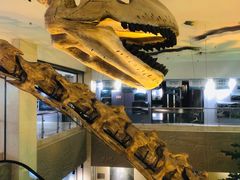 -甘肃地质博物馆