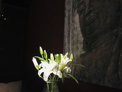 -都氏家DUSJOY(翡翠城店)