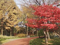 -杭州城北体育公园