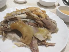 盐焗手撕鸡-巫记鸡饭店