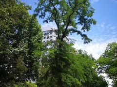 -北京邮电大学