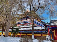 -长白岛森林公园