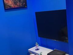 -浣熊部落ps4 ps5 switch 电玩(茶店子店)