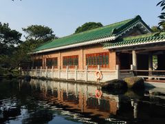 -名树园