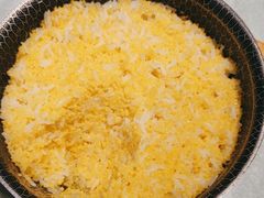 -邵年鸽(杨庄店)