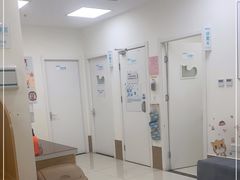 -美联众合动物医院·24h京西诊疗中心