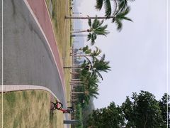 -野狸岛