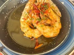 -TOMATITO(无限极荟店)