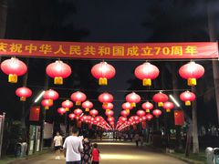 -万绿园