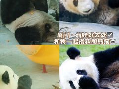 -灵玲国际马戏城