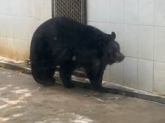 -广东茂名森林公园