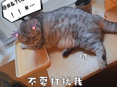 -H立方实景剧情密室(天河旗舰店)