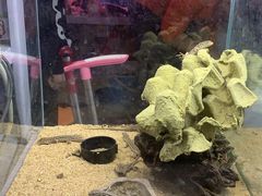 -三旗百汇商品城