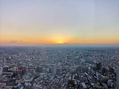 -东京都厅舍