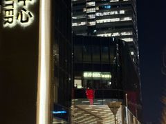 -淮香国色·淮扬菜(正大中心店)