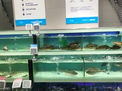 -盒马渔市(平高企业集团·平高广场店)
