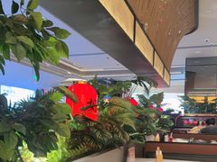 -辛香汇·现炒川菜(城北万象城店)