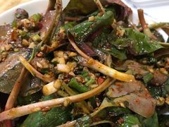 -东吴霸王兔(松青路店)