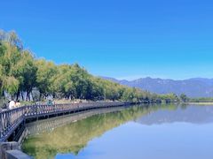 -野鸭湖国家湿地公园