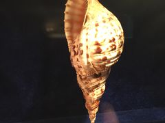 -大连圣亚海洋世界