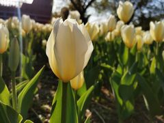 -长春公园(普阳街道)