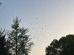 -滨湖塘西河公园