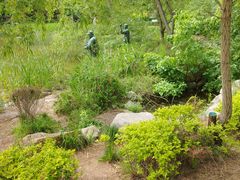 -大连植物园