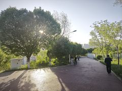 -鲤鱼山公园