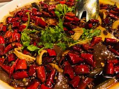 -华豫川酒家(大卫城店)