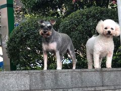 -喷泉公园