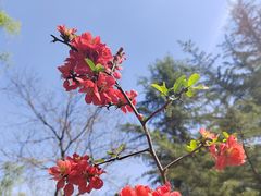 -大兴滨河森林公园